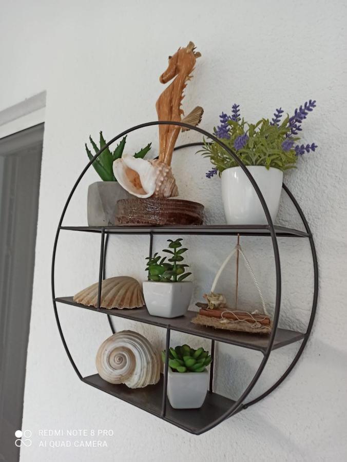 Apartman Robertino 1966 Makarska Eksteriør billede