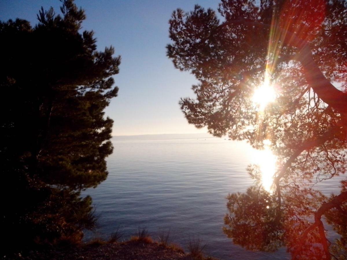 Apartman Robertino 1966 Makarska Eksteriør billede